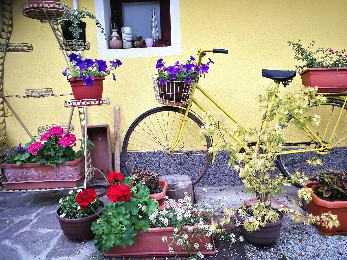 Yellow House Apartment Ljubljana Slovenia